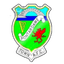 Pontardawe Town